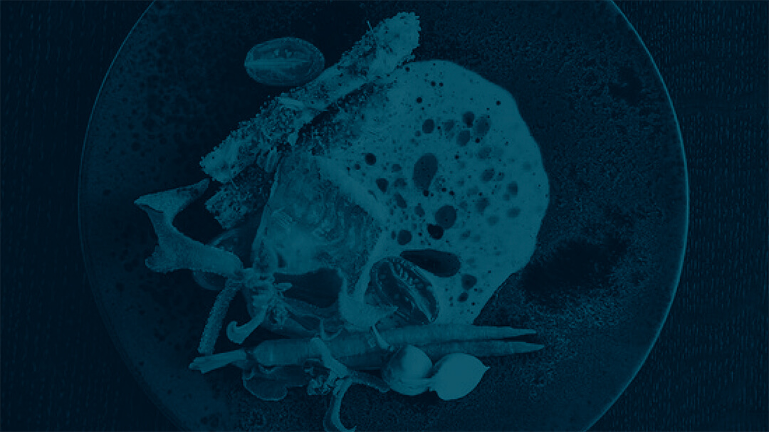 menu-background